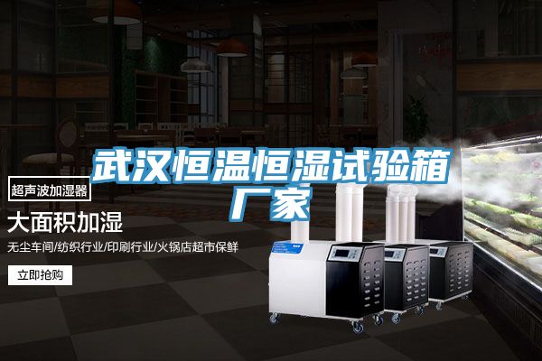 武漢恒溫恒濕試驗(yàn)箱廠(chǎng)家
