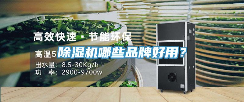除濕機哪些品牌好用？