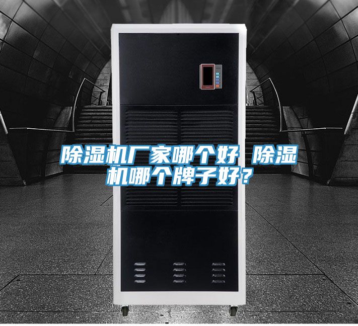 除濕機(jī)廠家哪個(gè)好 除濕機(jī)哪個(gè)牌子好？