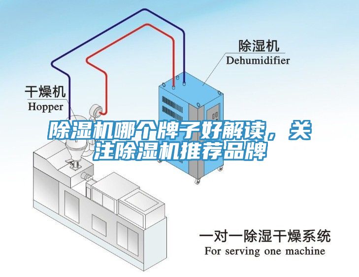 除濕機哪個牌子好解讀，關注除濕機推薦品牌