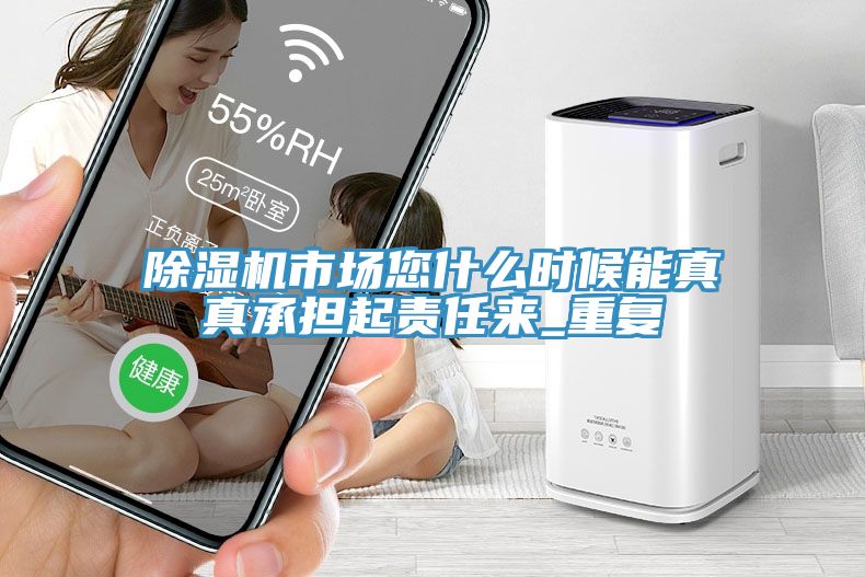 除濕機(jī)市場(chǎng)您什么時(shí)候能真真承擔(dān)起責(zé)任來_重復(fù)