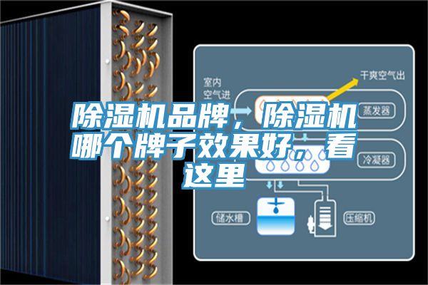 除濕機(jī)品牌，除濕機(jī)哪個(gè)牌子效果好，看這里