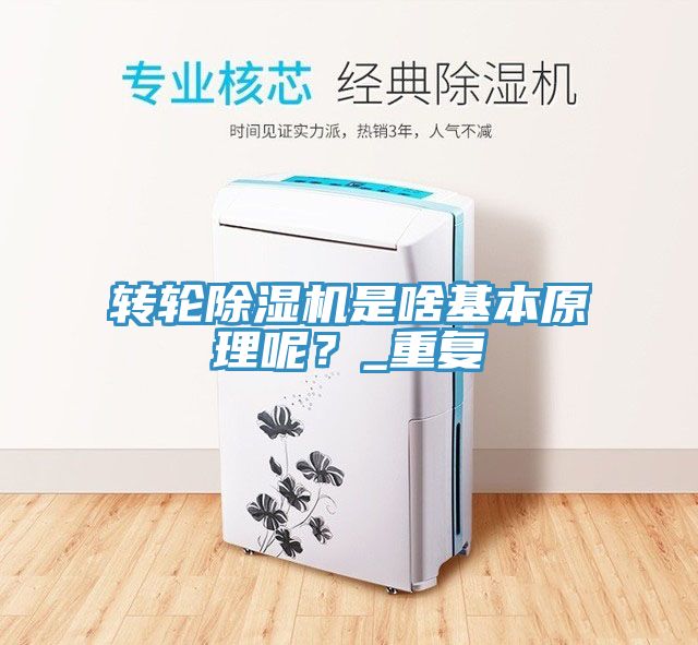轉輪除濕機是啥基本原理呢？_重復
