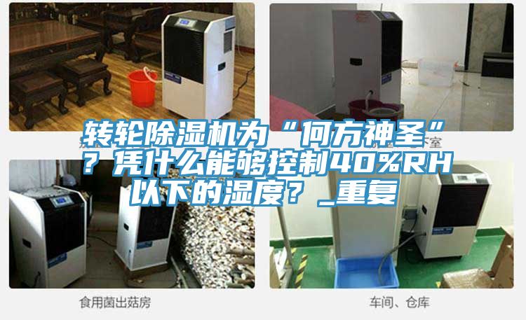 轉(zhuǎn)輪除濕機(jī)為“何方神圣”？憑什么能夠控制40%RH以下的濕度？_重復(fù)