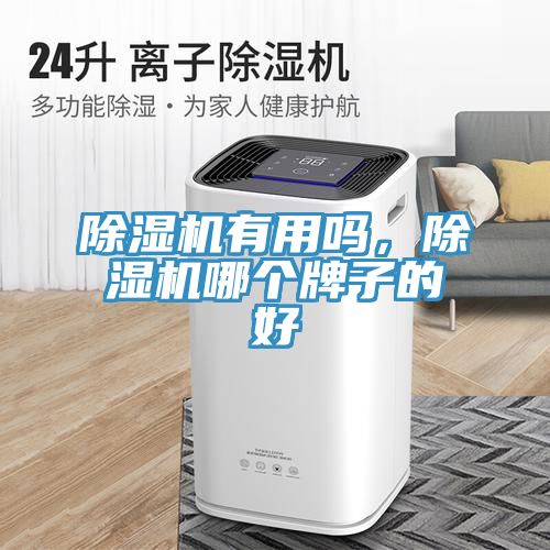 除濕機(jī)有用嗎，除濕機(jī)哪個牌子的好