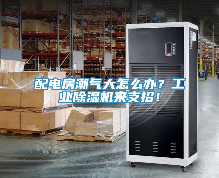 配電房潮氣大怎么辦？工業(yè)除濕機(jī)來支招！