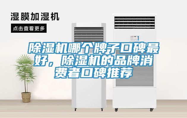 除濕機哪個牌子口碑最好，除濕機的品牌消費者口碑推薦
