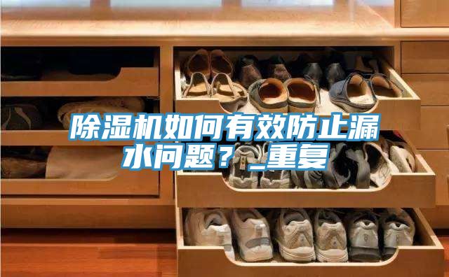 除濕機(jī)如何有效防止漏水問題？_重復(fù)