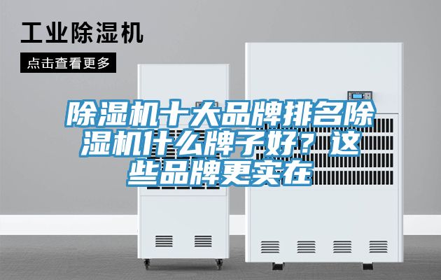除濕機(jī)十大品牌排名除濕機(jī)什么牌子好？這些品牌更實(shí)在