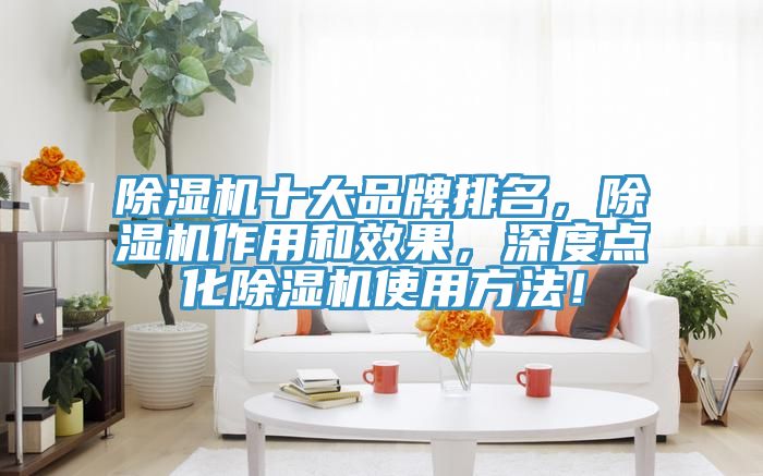 除濕機(jī)十大品牌排名，除濕機(jī)作用和效果，深度點(diǎn)化除濕機(jī)使用方法！