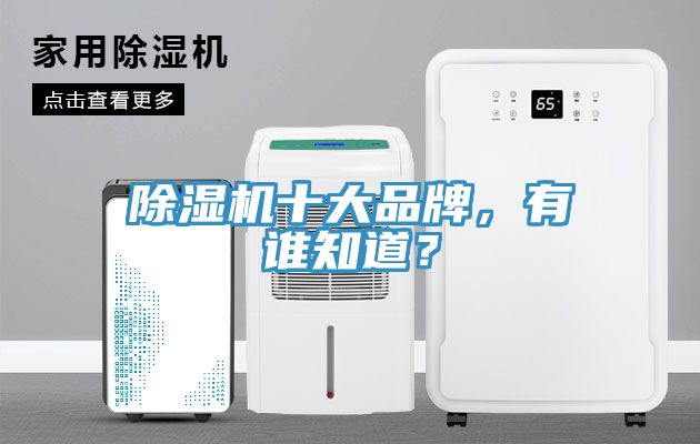 除濕機十大品牌，有誰知道？