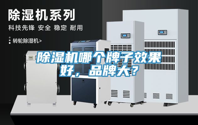 除濕機哪個牌子效果好，品牌大？