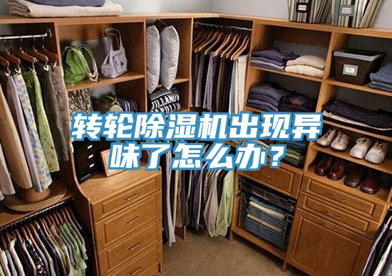 轉(zhuǎn)輪除濕機(jī)出現(xiàn)異味了怎么辦？