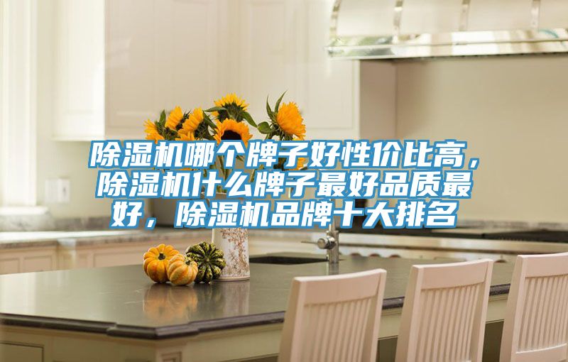 除濕機(jī)哪個(gè)牌子好性價(jià)比高，除濕機(jī)什么牌子最好品質(zhì)最好，除濕機(jī)品牌十大排名