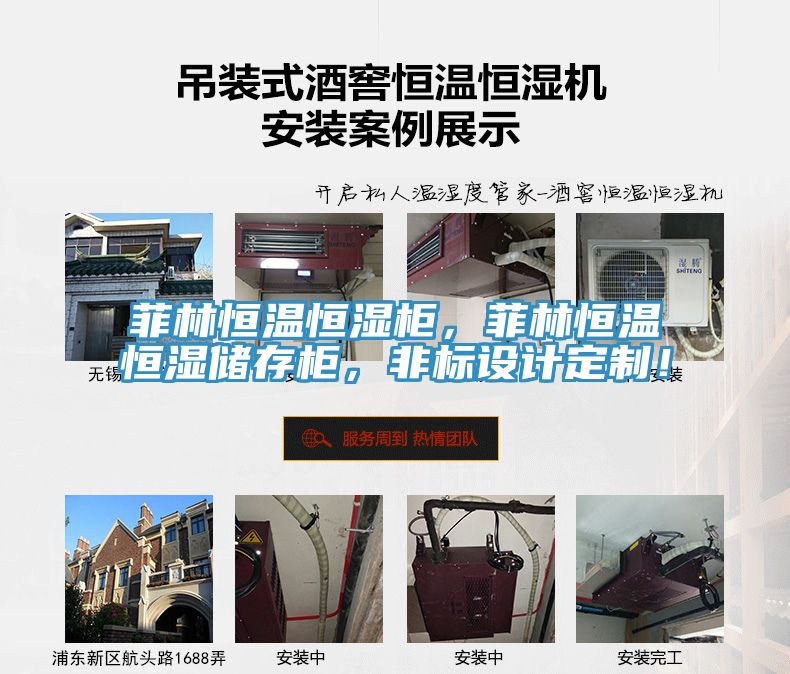 菲林恒溫恒濕柜，菲林恒溫恒濕儲(chǔ)存柜，非標(biāo)設(shè)計(jì)定制！