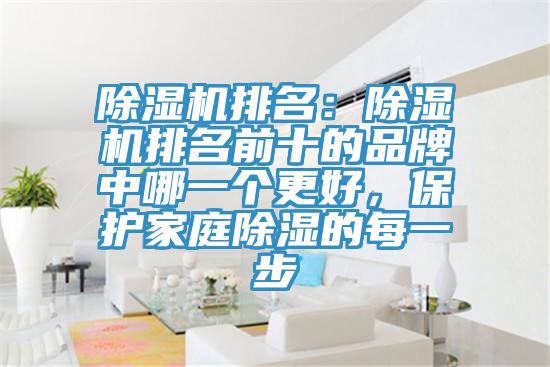除濕機(jī)排名：除濕機(jī)排名前十的品牌中哪一個更好，保護(hù)家庭除濕的每一步