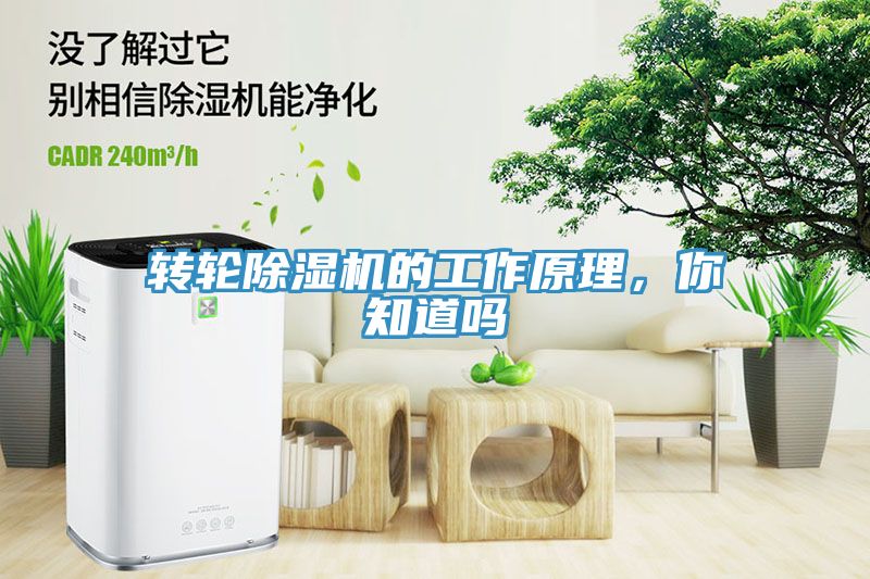 轉(zhuǎn)輪除濕機的工作原理，你知道嗎
