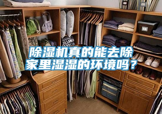 除濕機(jī)真的能去除家里濕濕的環(huán)境嗎？