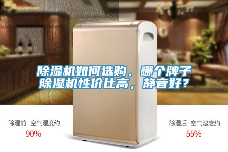 除濕機如何選購，哪個牌子除濕機性價比高，靜音好？