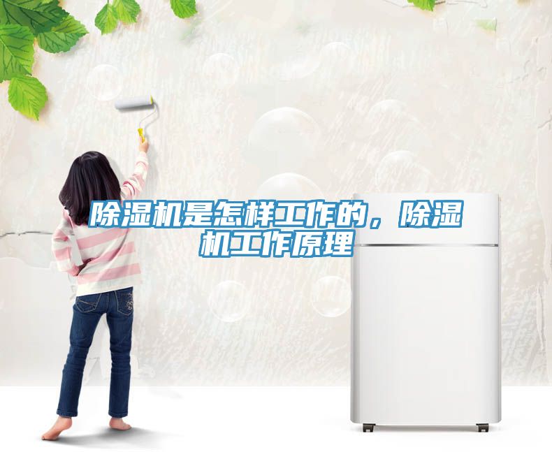 除濕機是怎樣工作的，除濕機工作原理