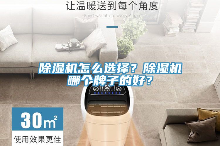 除濕機(jī)怎么選擇？除濕機(jī)哪個(gè)牌子的好？