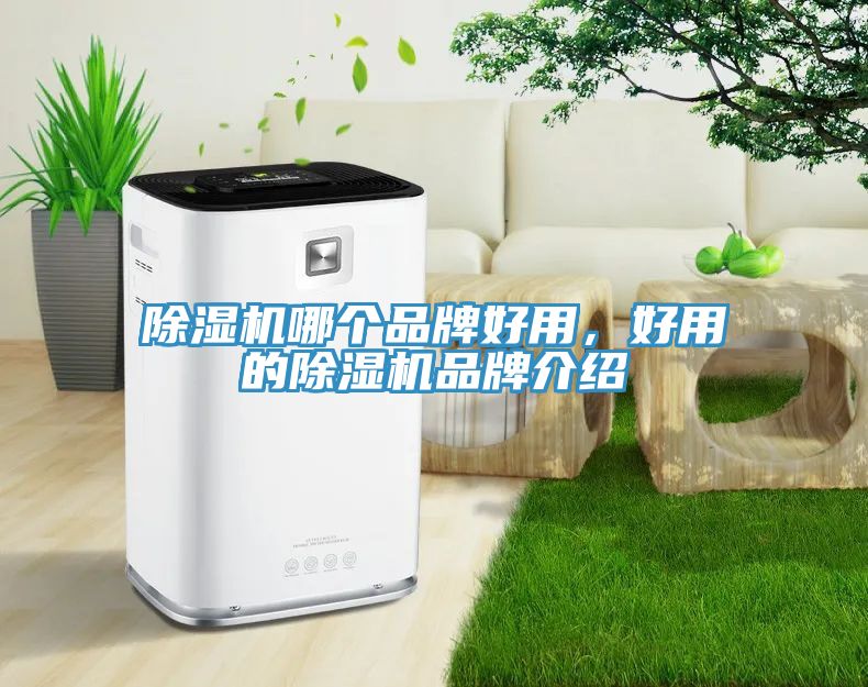 除濕機(jī)哪個(gè)品牌好用，好用的除濕機(jī)品牌介紹