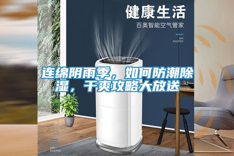 連綿陰雨季，如何防潮除濕，干爽攻略大放送