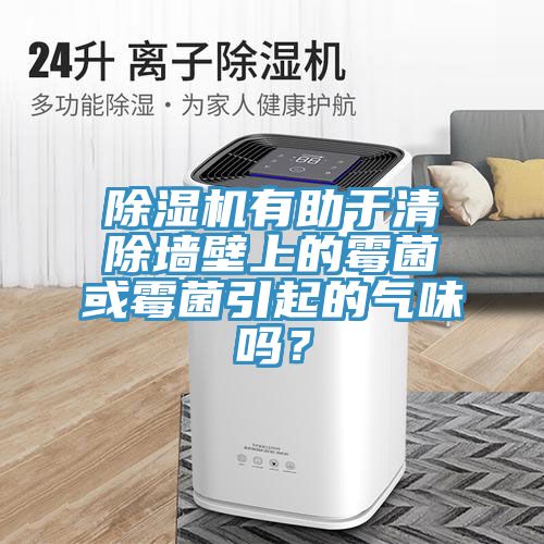 除濕機(jī)有助于清除墻壁上的霉菌或霉菌引起的氣味嗎？