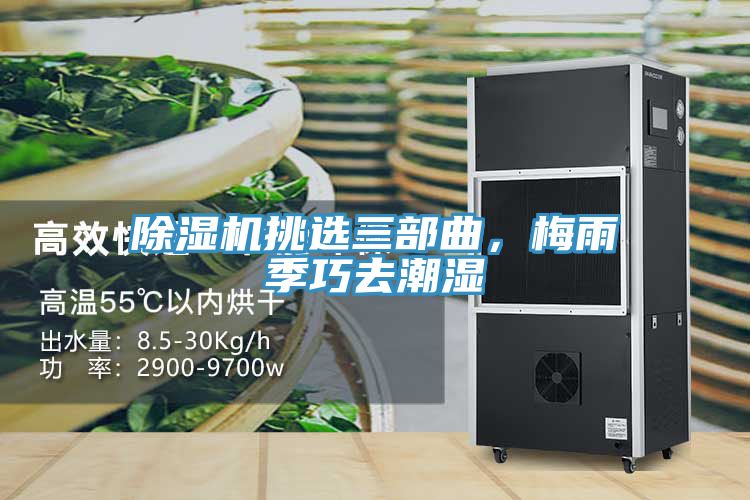 除濕機挑選三部曲，梅雨季巧去潮濕