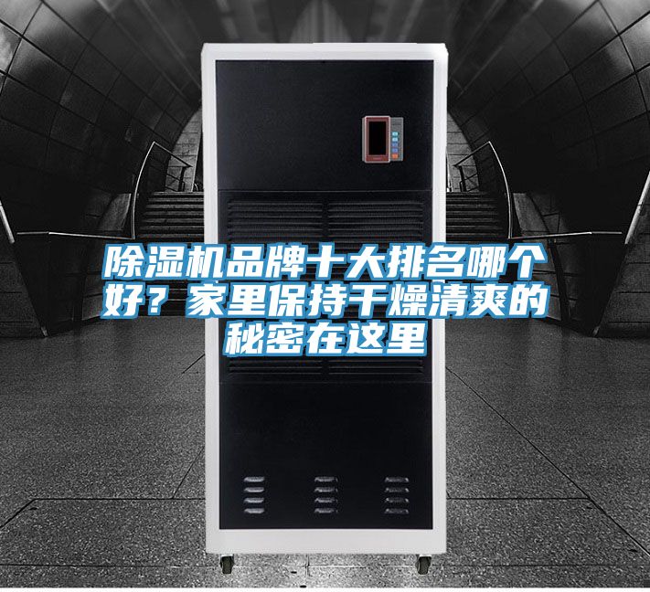 除濕機(jī)品牌十大排名哪個(gè)好？家里保持干燥清爽的秘密在這里