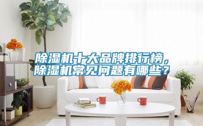 除濕機十大品牌排行榜，除濕機常見問題有哪些？