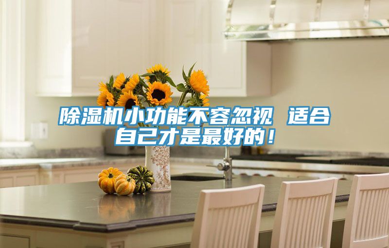 除濕機(jī)小功能不容忽視 適合自己才是最好的！
