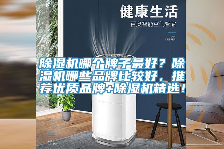 除濕機(jī)哪個牌子最好？除濕機(jī)哪些品牌比較好，推薦優(yōu)質(zhì)品牌+除濕機(jī)精選！