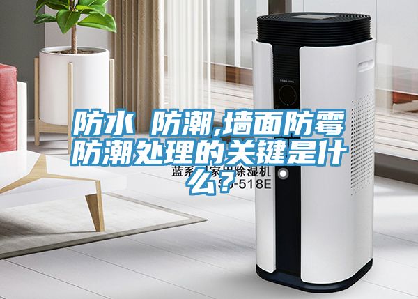 防水≠防潮,墻面防霉防潮處理的關(guān)鍵是什么？