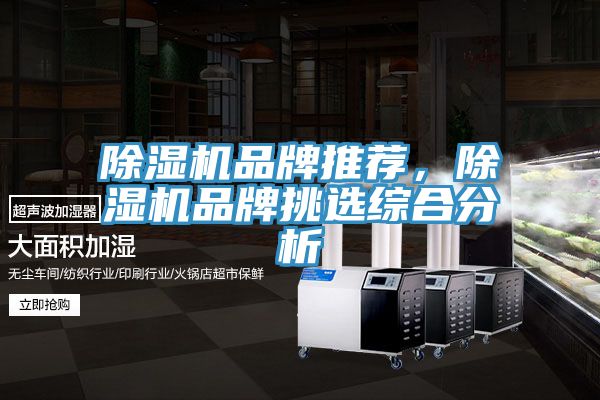 除濕機品牌推薦，除濕機品牌挑選綜合分析