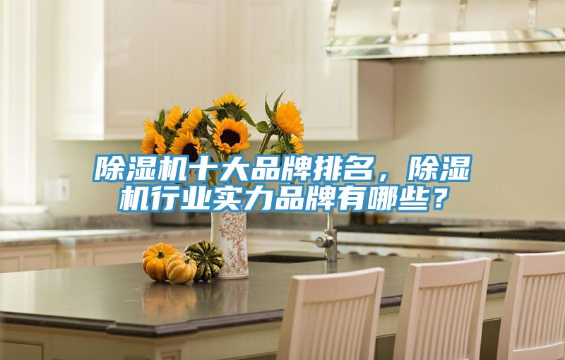 除濕機(jī)十大品牌排名，除濕機(jī)行業(yè)實(shí)力品牌有哪些？
