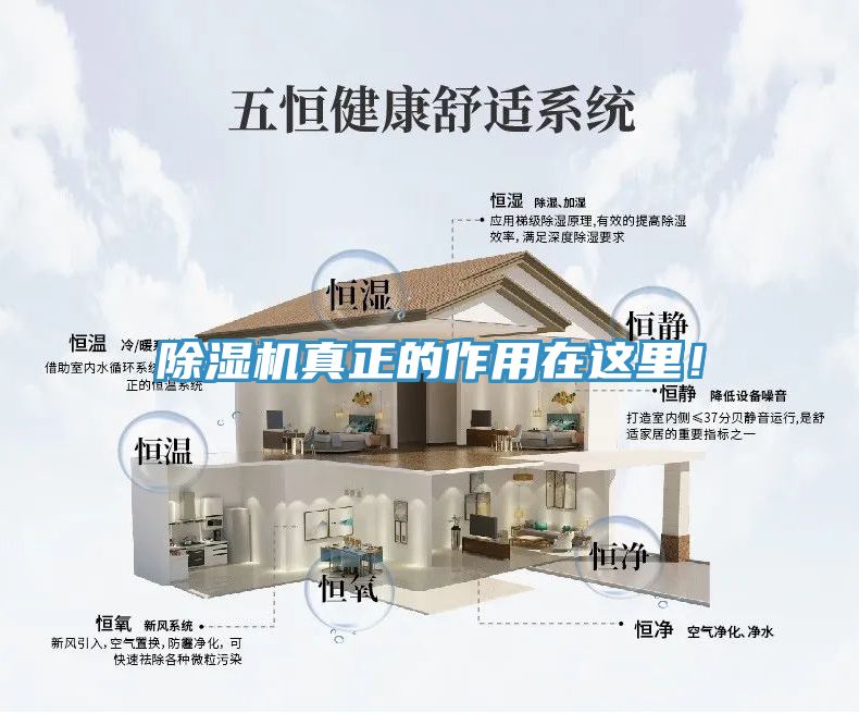 除濕機(jī)真正的作用在這里！