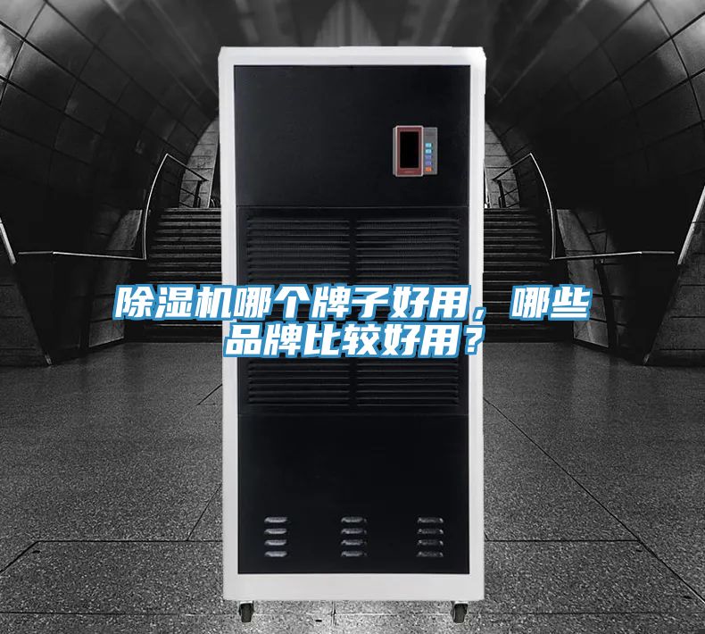除濕機哪個牌子好用，哪些品牌比較好用？