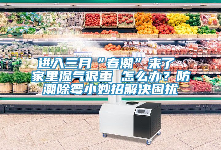 進(jìn)入三月“春潮”來了 家里濕氣很重 怎么辦？防潮除霉小妙招解決困擾