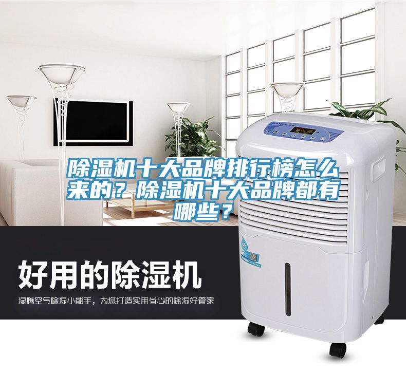 除濕機(jī)十大品牌排行榜怎么來的？除濕機(jī)十大品牌都有哪些？