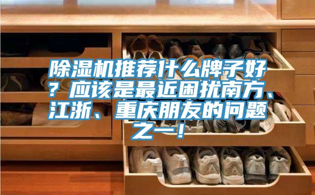 除濕機(jī)推薦什么牌子好？應(yīng)該是最近困擾南方、江浙、重慶朋友的問(wèn)題之一！