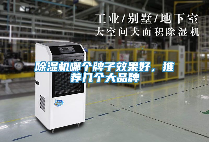 除濕機哪個牌子效果好，推薦幾個大品牌