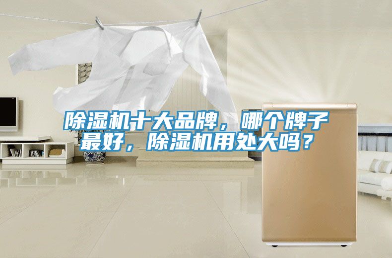 除濕機(jī)十大品牌，哪個(gè)牌子最好，除濕機(jī)用處大嗎？