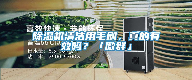 除濕機(jī)清潔用毛刷，真的有效嗎？「傲群」