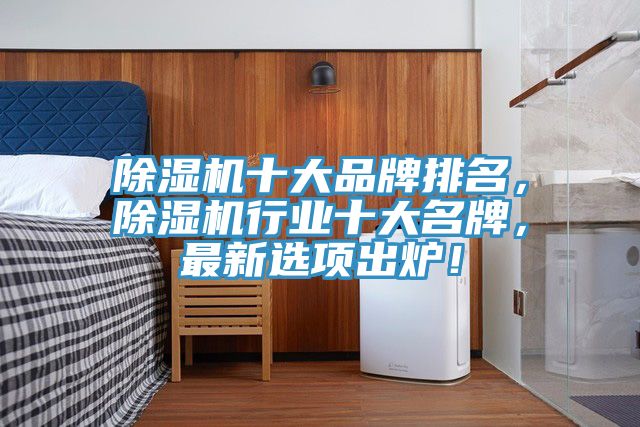 除濕機十大品牌排名，除濕機行業(yè)十大名牌，最新選項出爐！