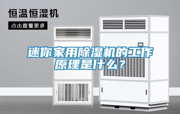 迷你家用除濕機的工作原理是什么？