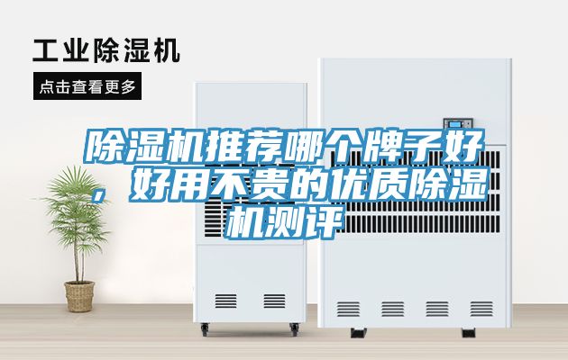 除濕機(jī)推薦哪個(gè)牌子好，好用不貴的優(yōu)質(zhì)除濕機(jī)測(cè)評(píng)