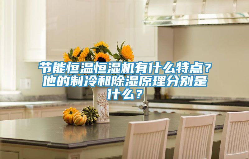 節(jié)能恒溫恒濕機(jī)有什么特點(diǎn)？他的制冷和除濕原理分別是什么？