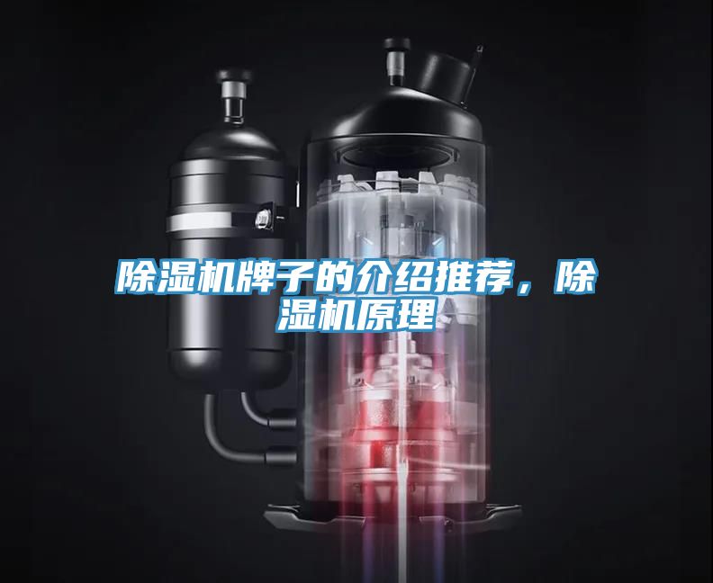 除濕機(jī)牌子的介紹推薦，除濕機(jī)原理