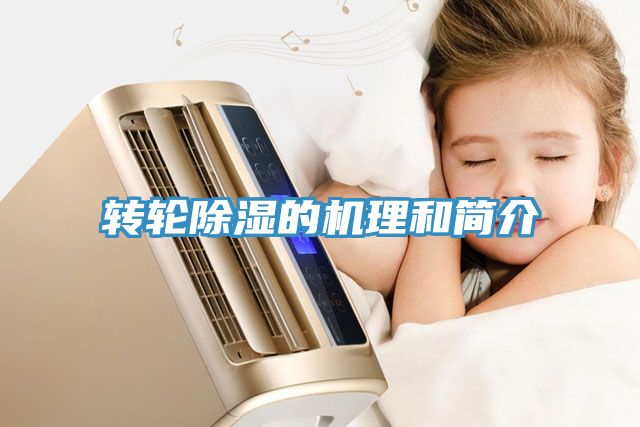 轉(zhuǎn)輪除濕的機(jī)理和簡介